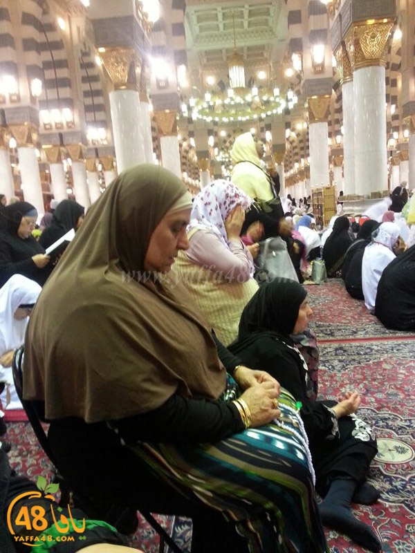 mo3tmreen yfasafa3 (20).JPG